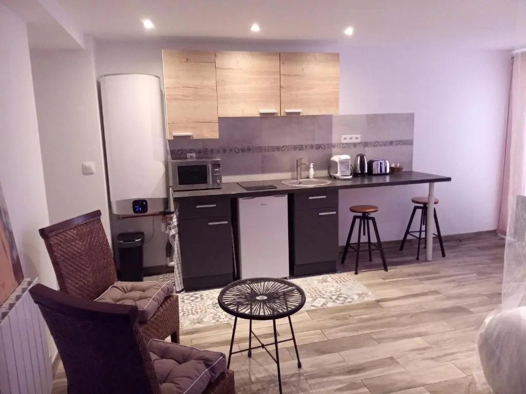 Amazing Duplex With Sauna 1br/4p in the Heart of Orly, Close to Paris