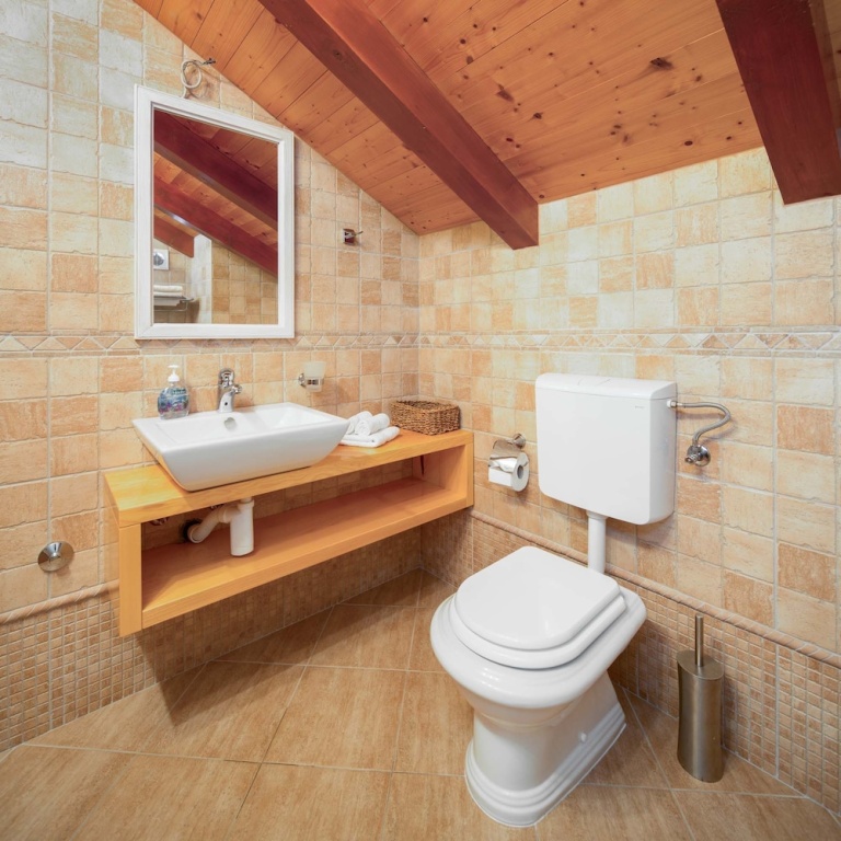 Apartment Zlendic
