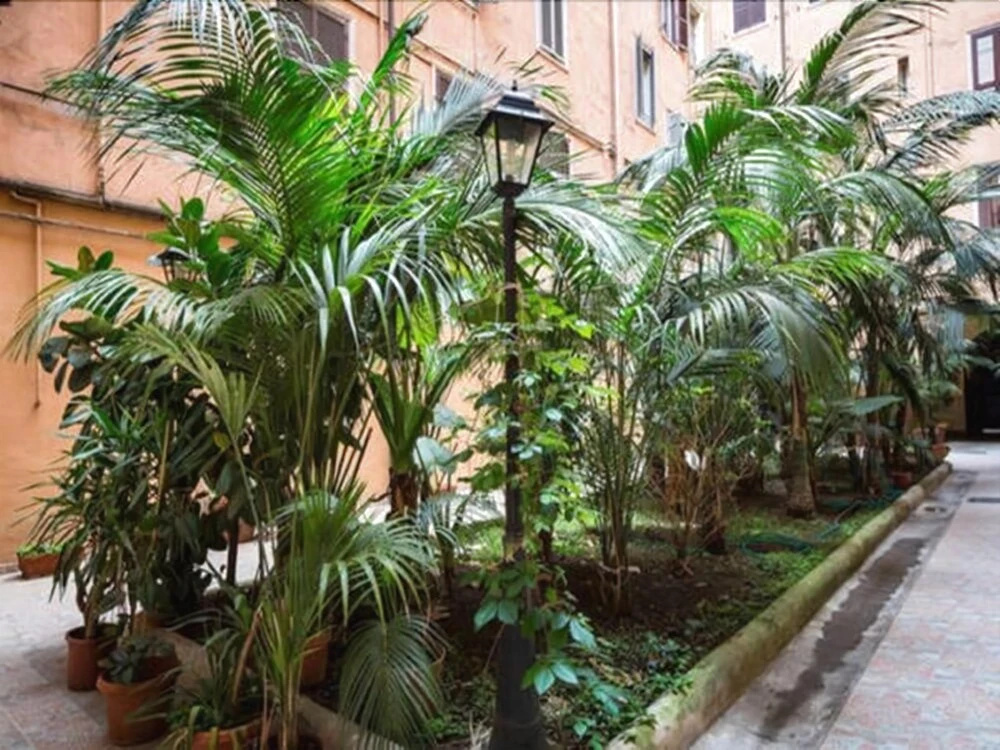 Gio Guest House