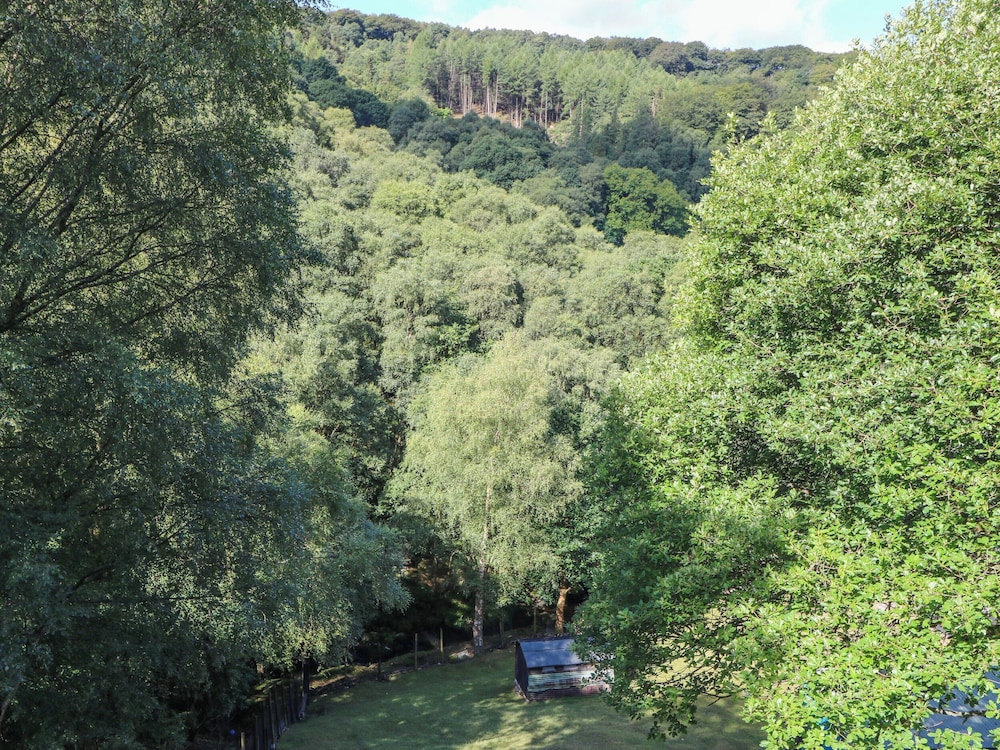 Victoria Wood View