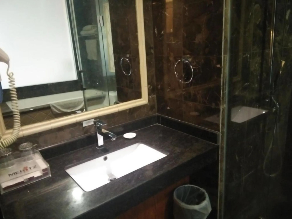 Meritz Hotel