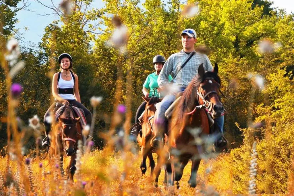 HOTEL HOLIDAYS a Barrea - Natura, Relax e Benessere nel Parco d'Abruzzo