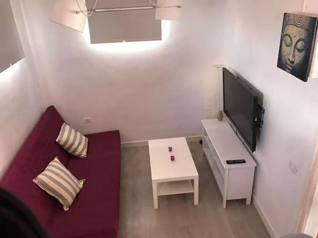 Apartamentos La Concepción
