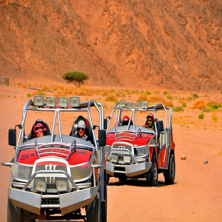 Nabq Camp