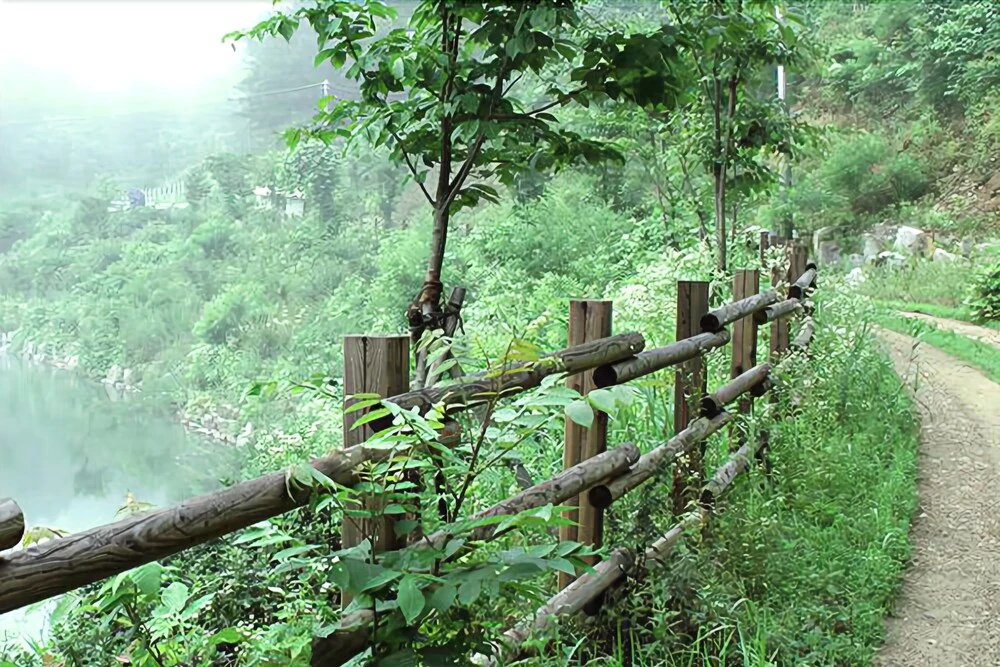Yangpyeong Dotorigol Pension