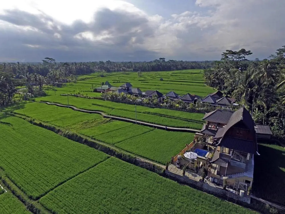 Uma Sari Villa Petulu Ubud