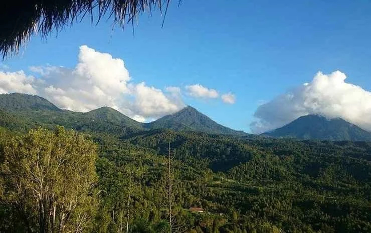 Munduk Don Biyu