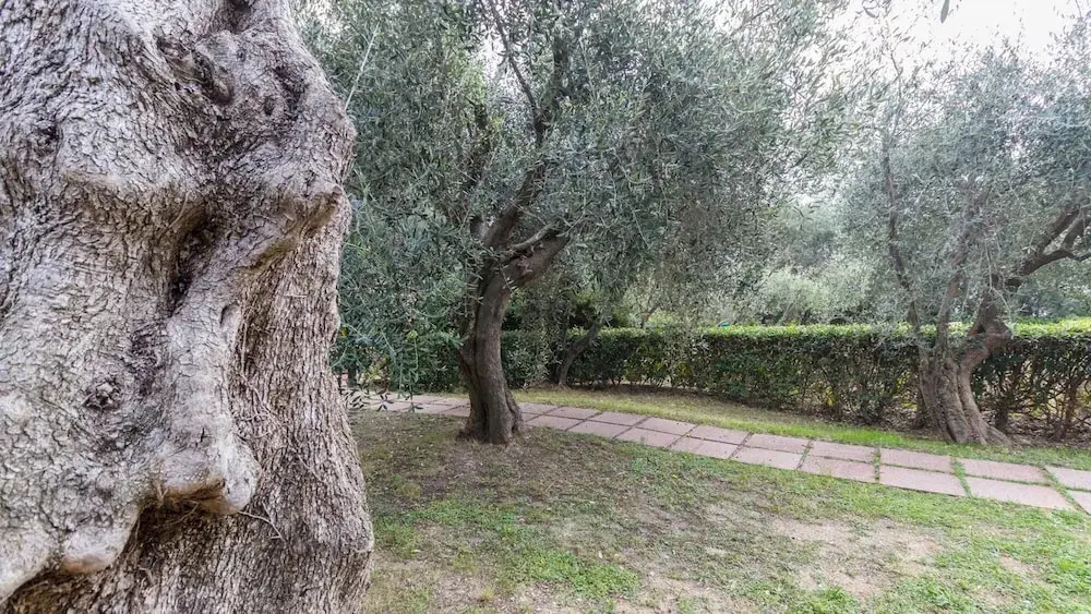 Il Borgo Apartments B4 - Sv-d600-bove3h1b