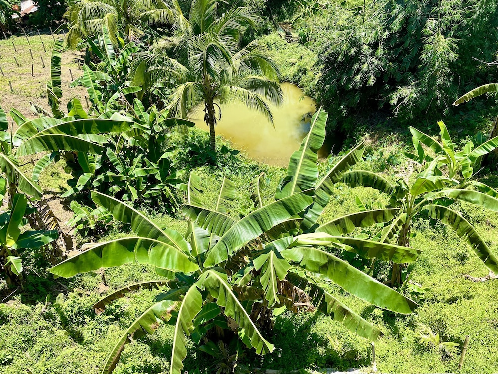 Felcordz Nature Farm and Resort