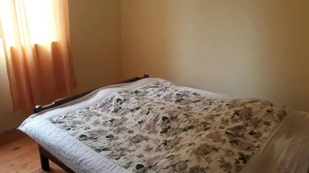 Guest house on Devyatnadtsataya