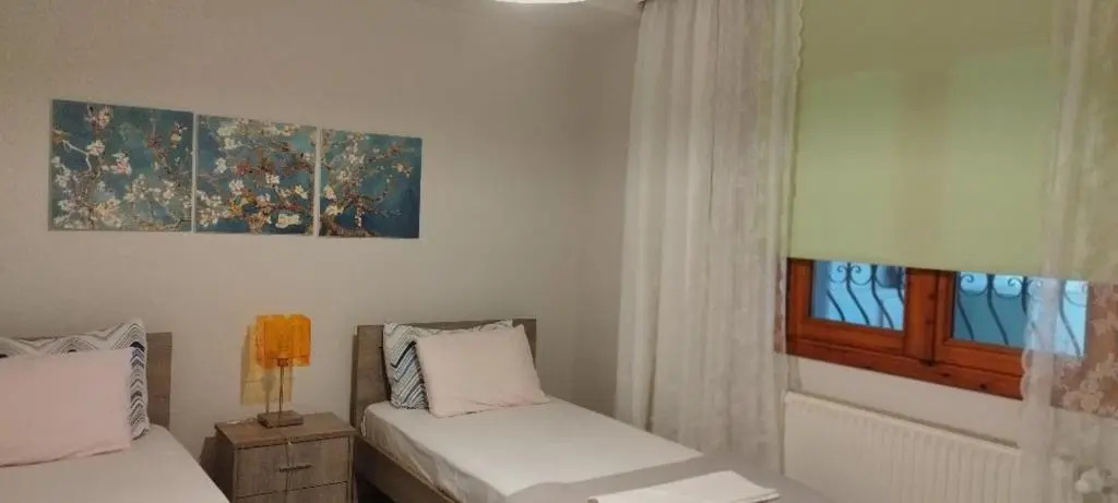 Virginia Apartment