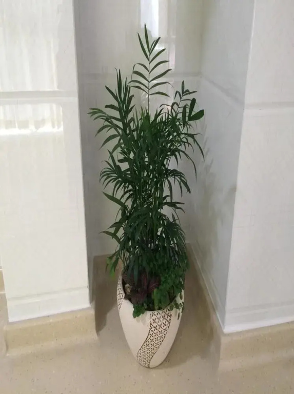 Xingfu Huafu Apartment