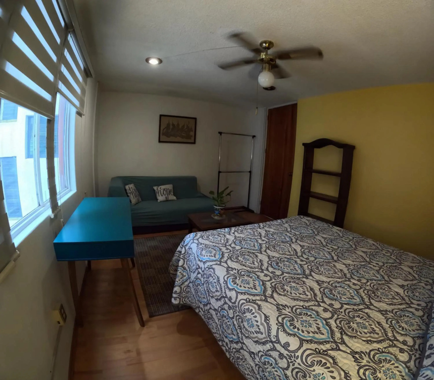 Neighbor of Frida Khalo, vintage stay in Coyoacán
