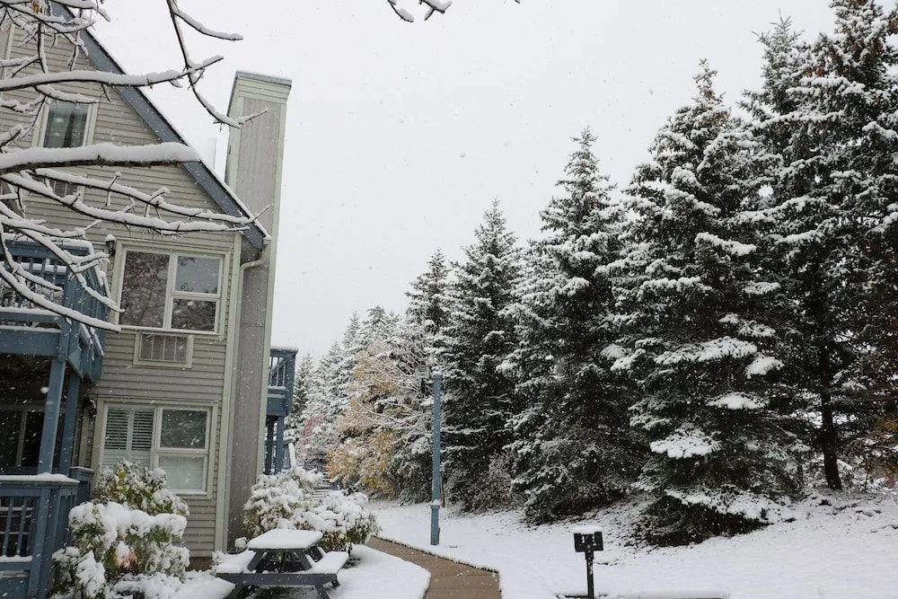 Mountain Springs Resort
