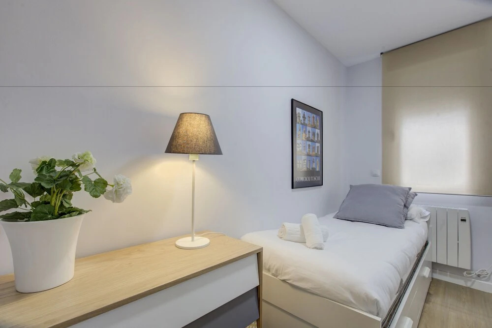 Cozy Apartment in Conde Duque