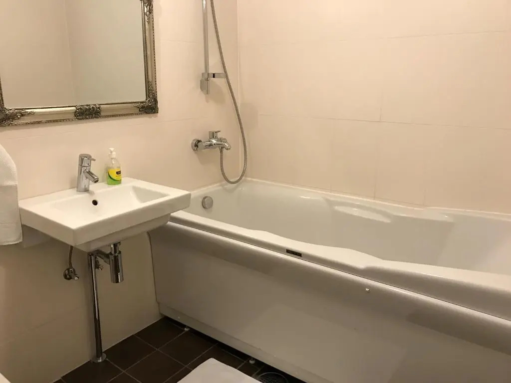 Roseni City Apartment