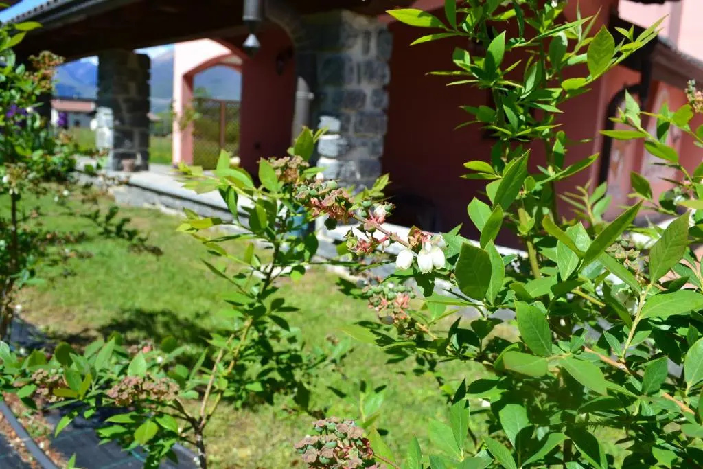BB Villa Simona