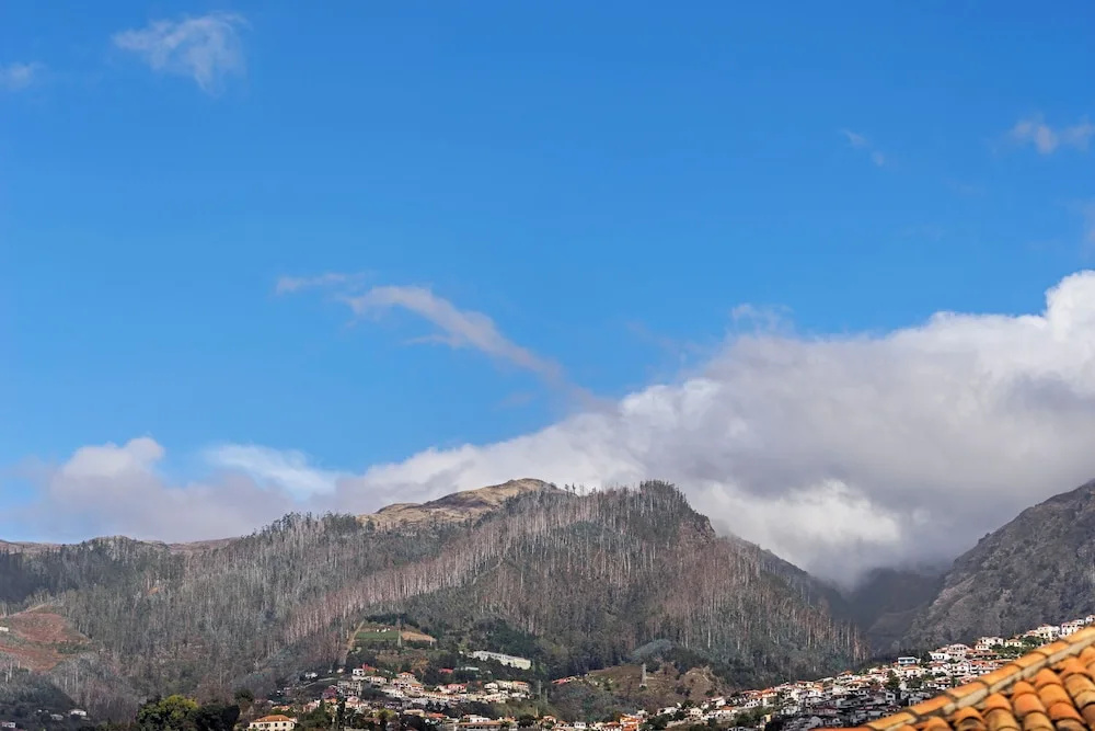 Downtown Funchal Apartments 4A P. Ruivo by An Island Apart