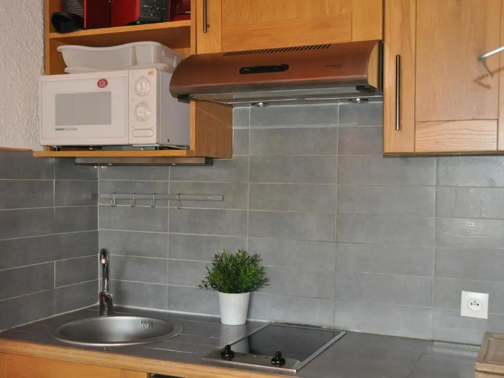Appartement Les Deux Alpes, 1 pièce, 4 personnes - FR-1-348-227