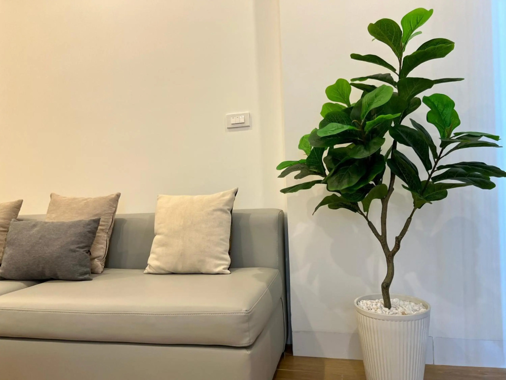 Muong Thanh Luxury Apartment Seaview