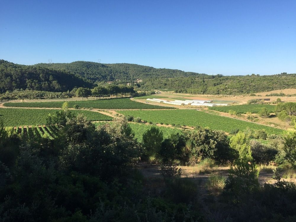 Maison Minervois