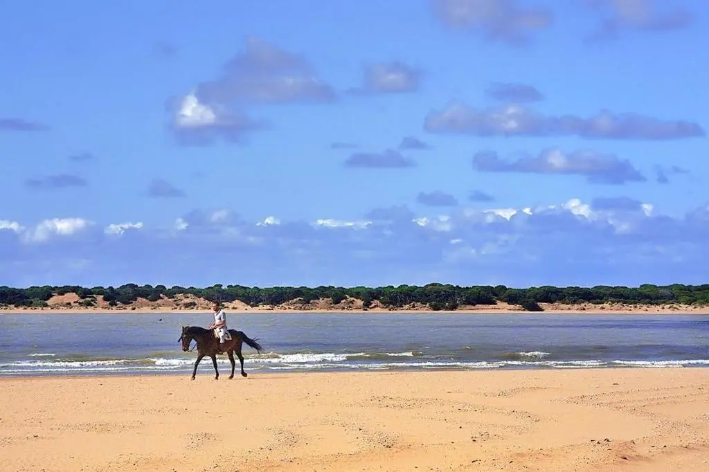 Apartamentos Sanlúcar & Doñana