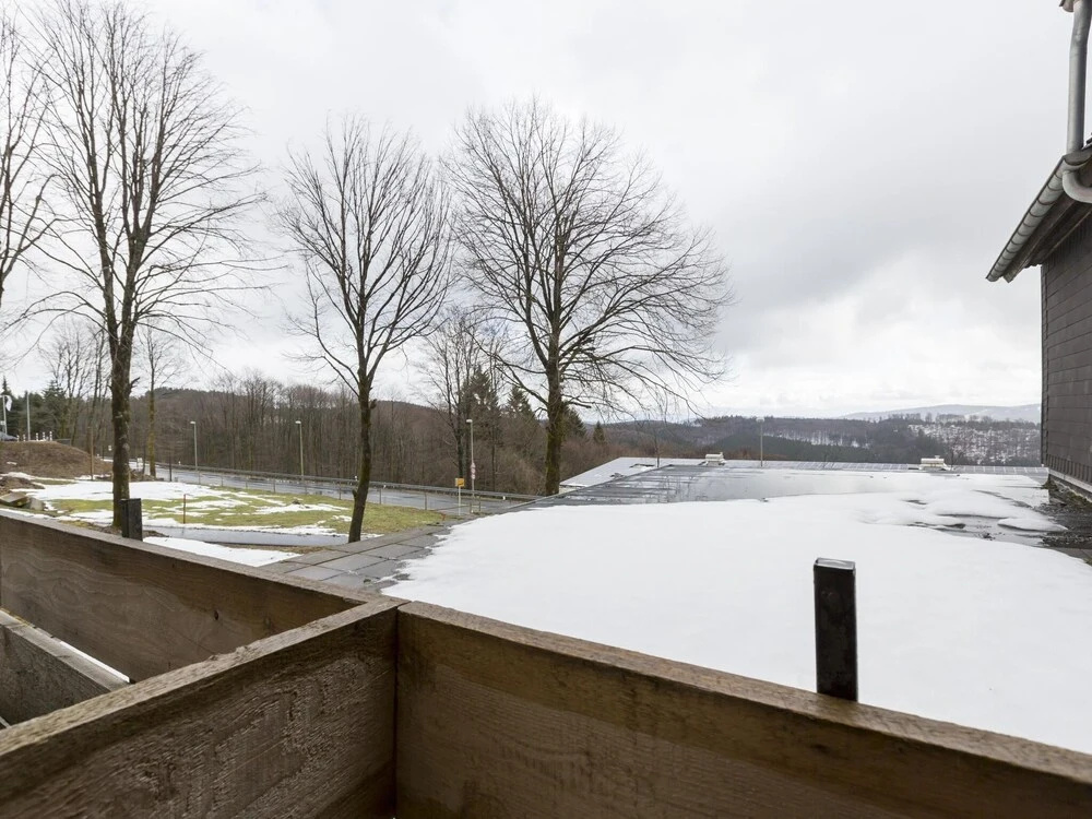 Secluded Apartment in Winterberg near Ski Area