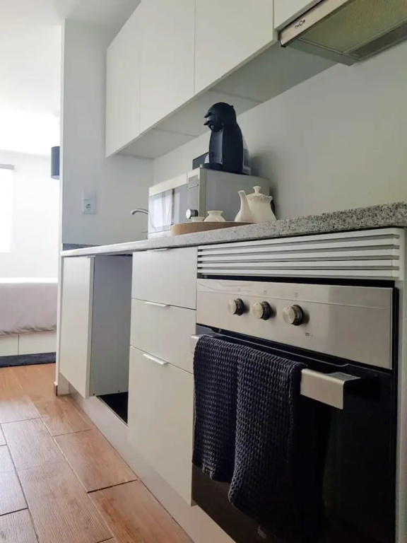 Apartment With one Bedroom in Porto, With Terrace and Wifi - 10 km From the Beach
