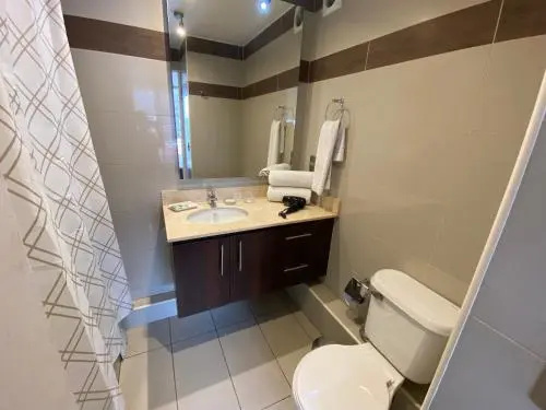 Roypace Apartamentos Manuel Montt