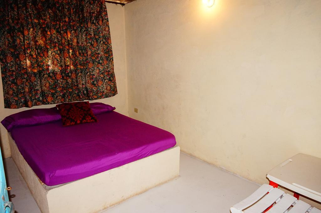 Eco Hotel Punta Nativa