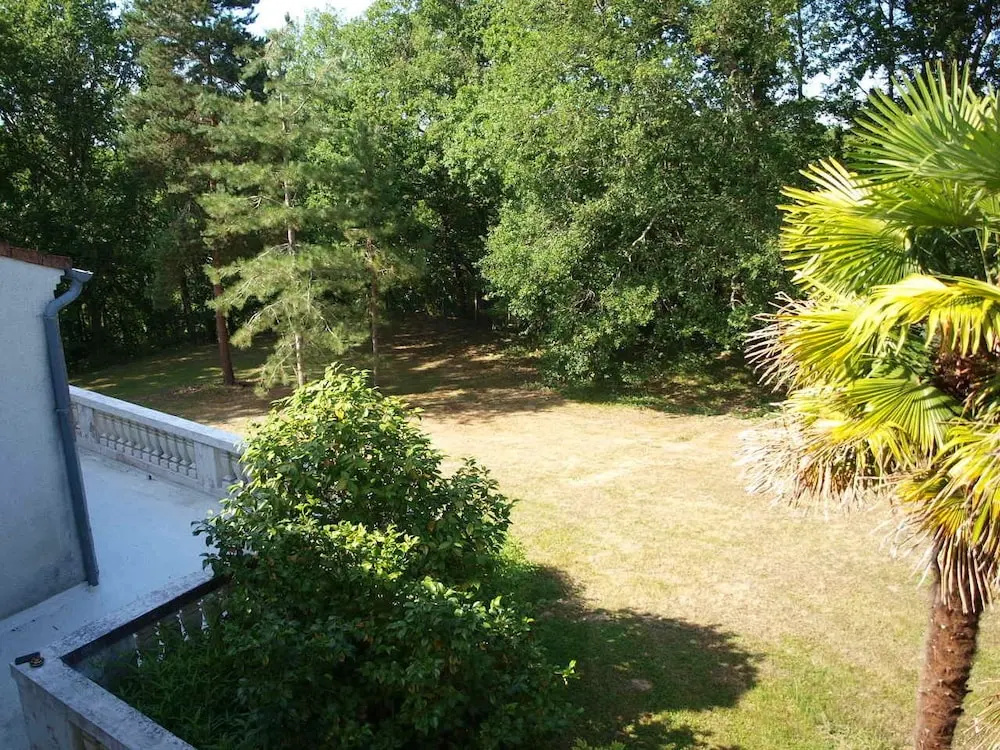 LE CHEMINARD