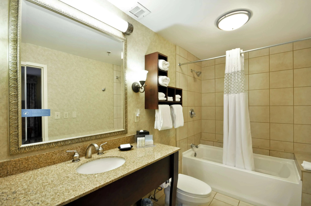 Hampton Inn Charleston-Historic District