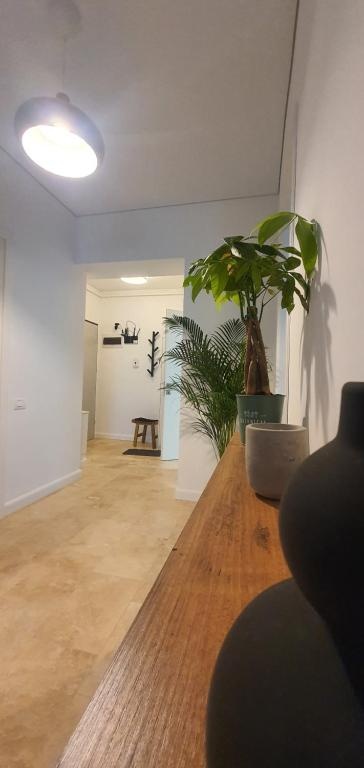 Mirage Sunset Mamaia Apartment D1