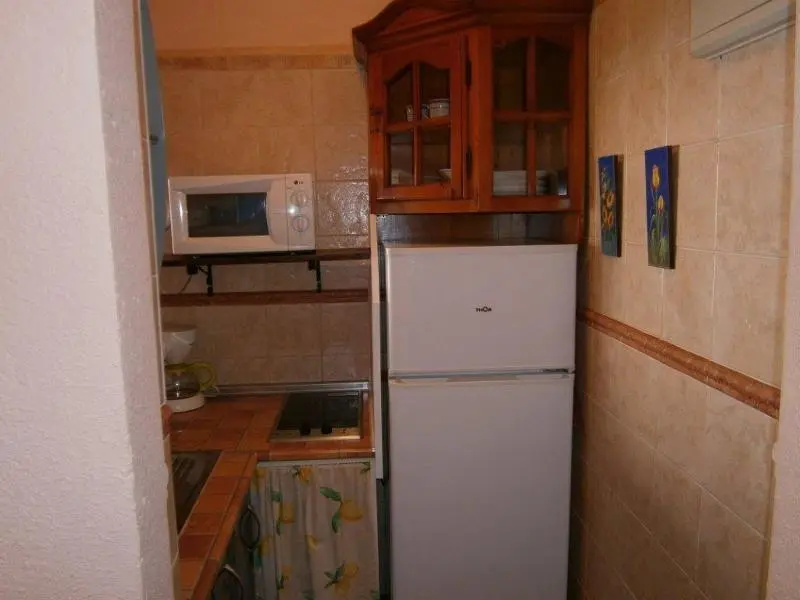 Apartment in Torrox, Malaga 102919