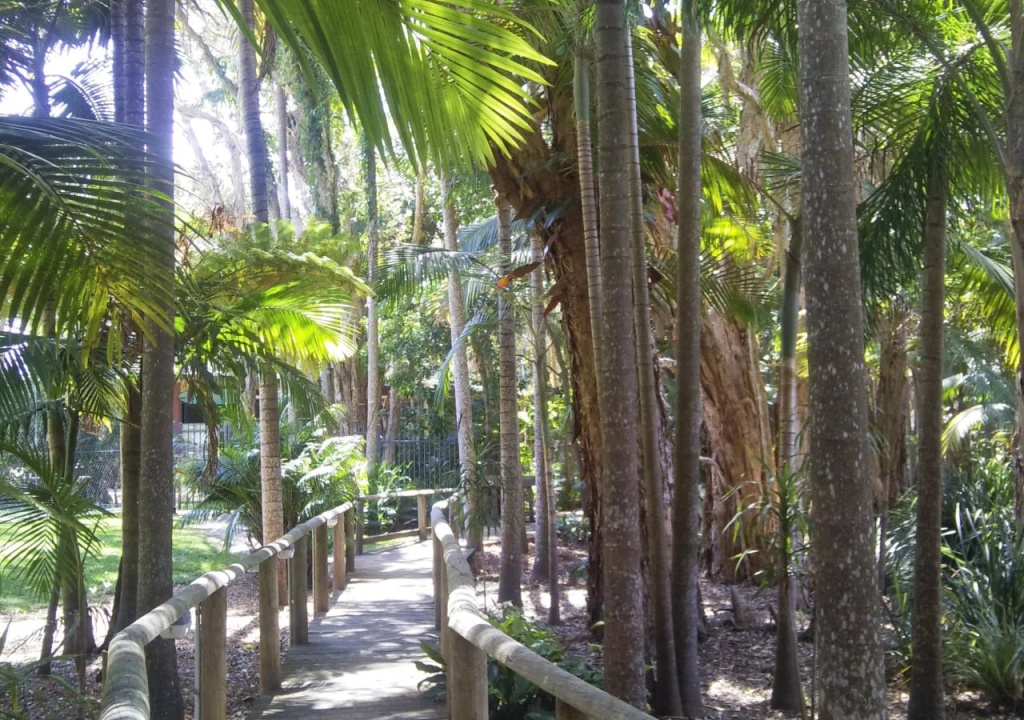 Beach Resort Apartment