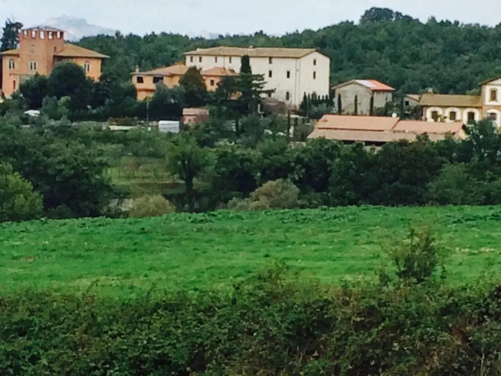 Tenuta di Vico Moricino