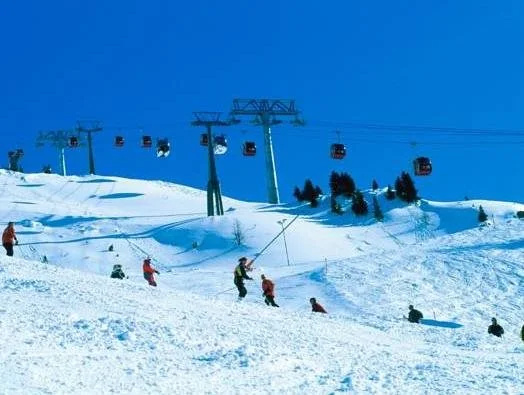 Hotel Garni Alpenhof