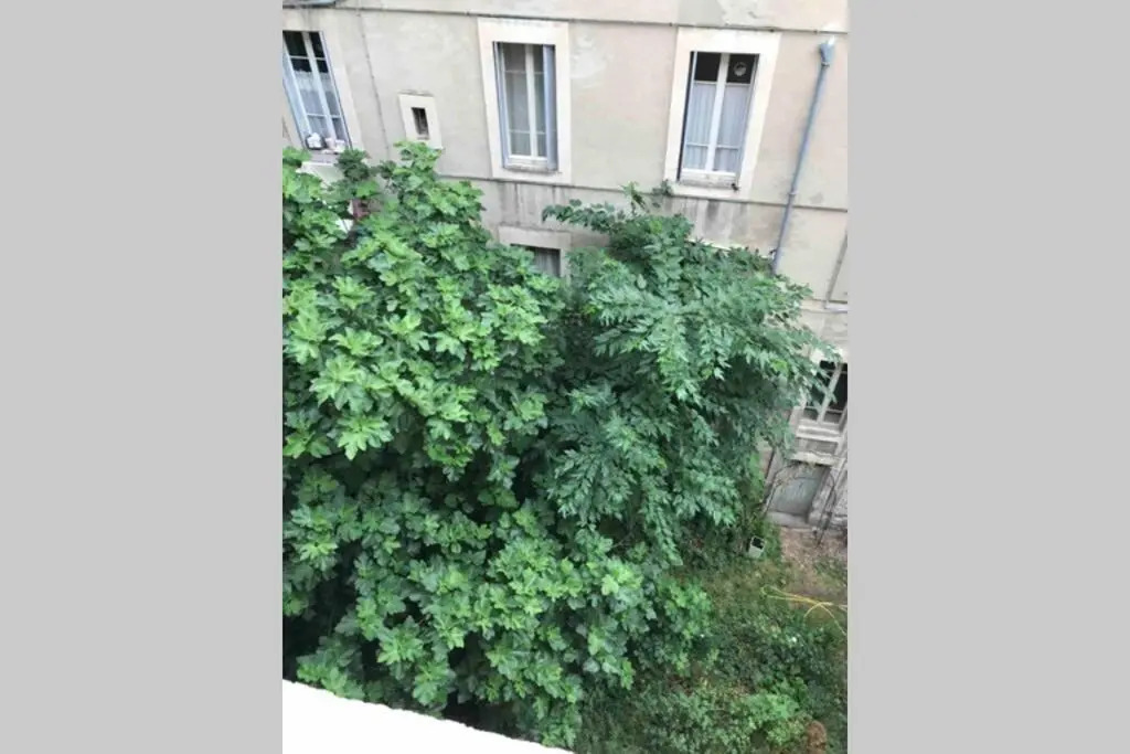 Avignon centre ville appartement T3 meublé 2 chambres