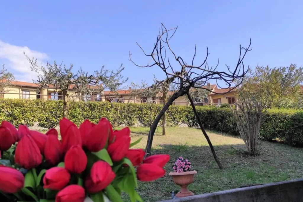 Feel at Home - LETIZIA LAKE HOUSE