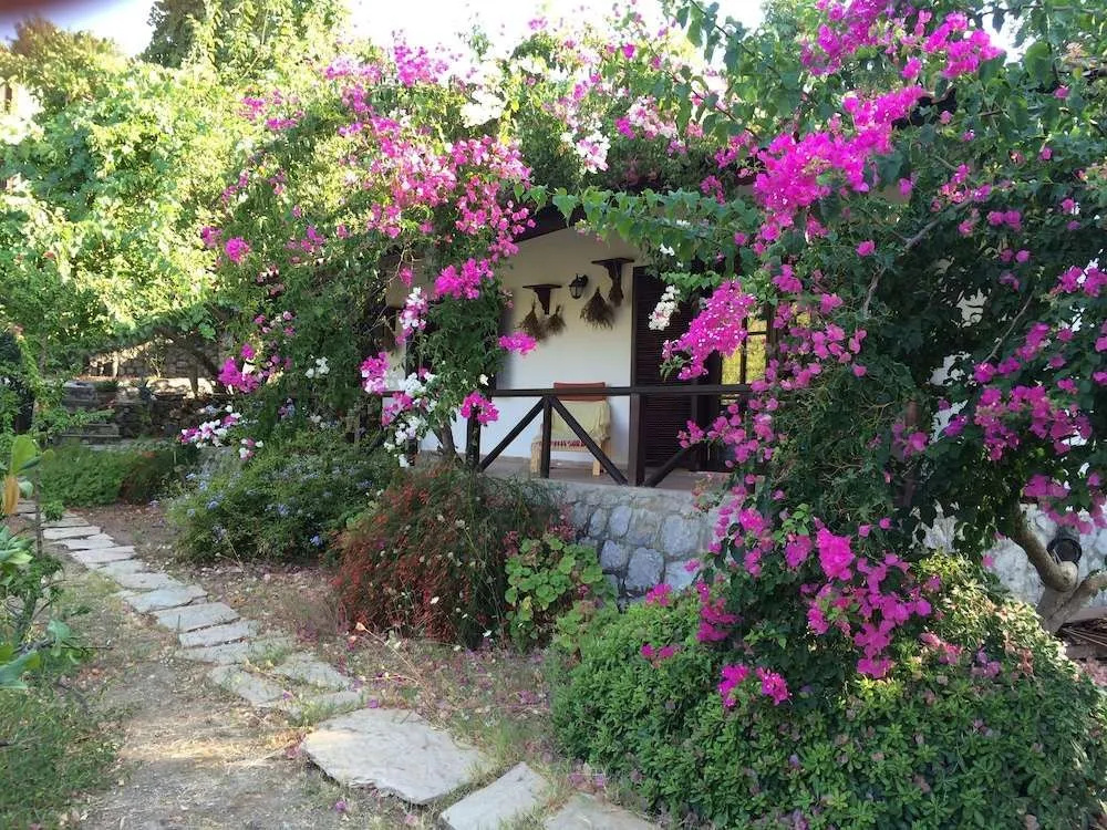 Selimiye Houses