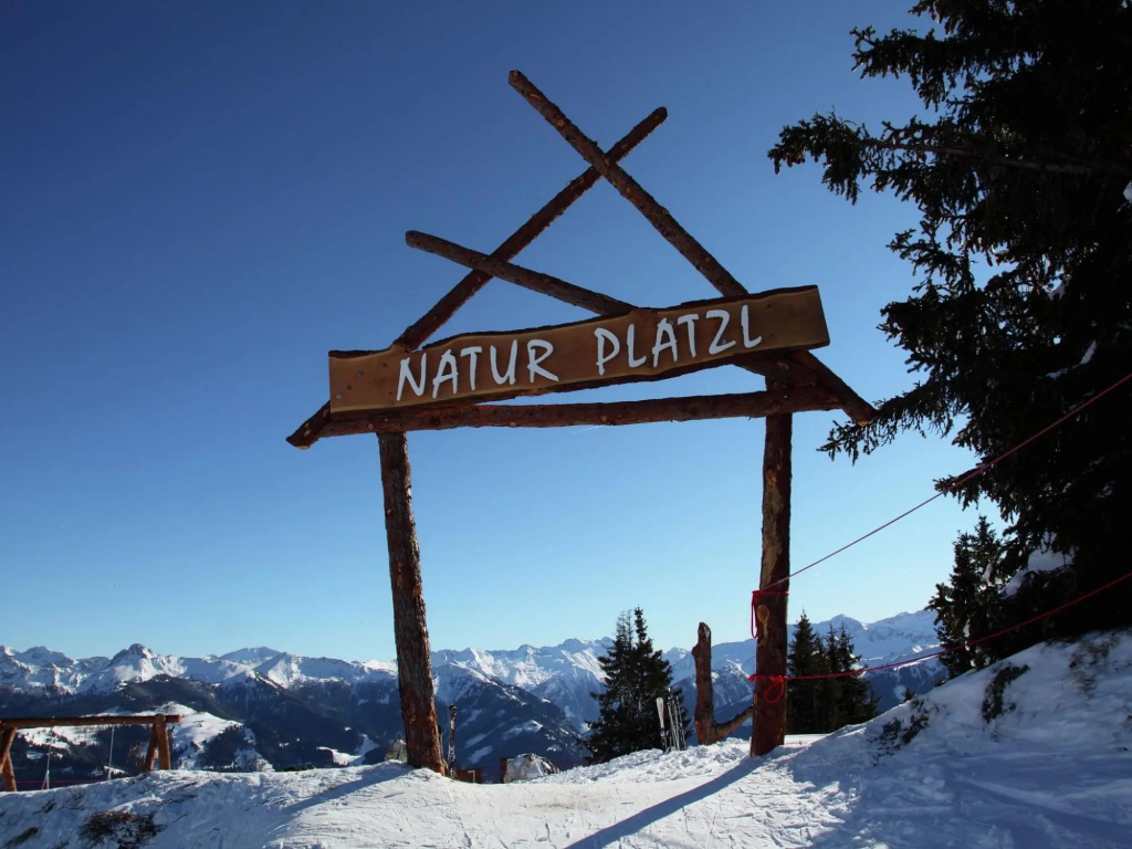 Chalet With Sauna Near the ski Area