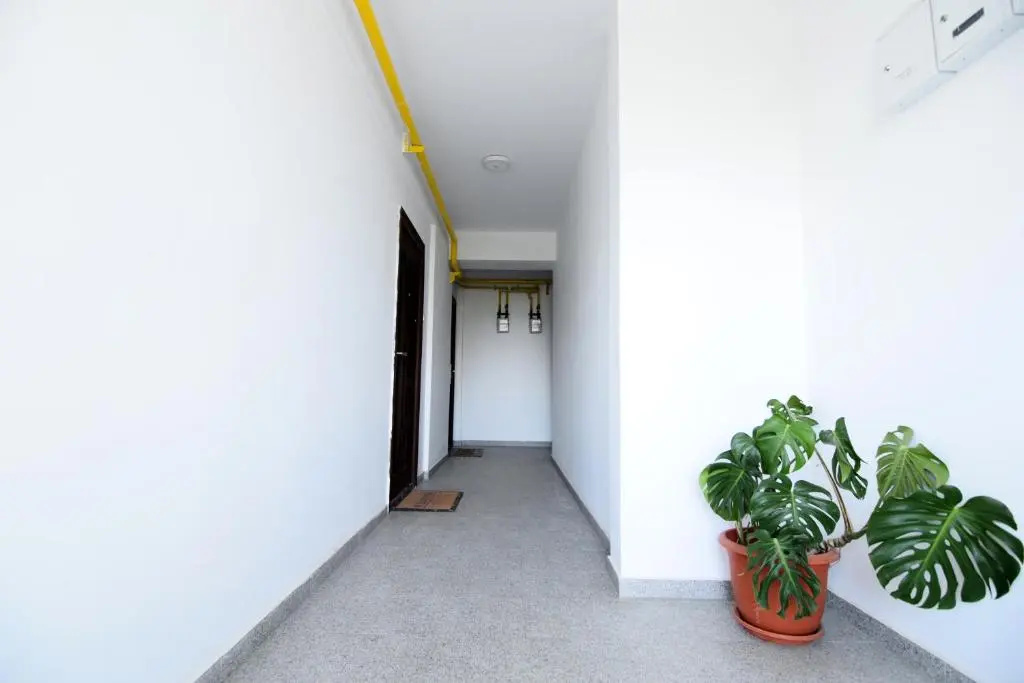 Ioana Studio Mamaia Nord