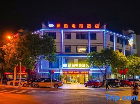 Whale e-sports hotel
