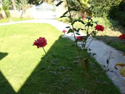 Villa Basil Apart Hotel
