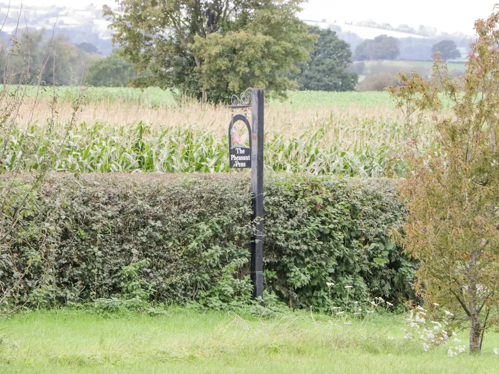 The Pheasant One