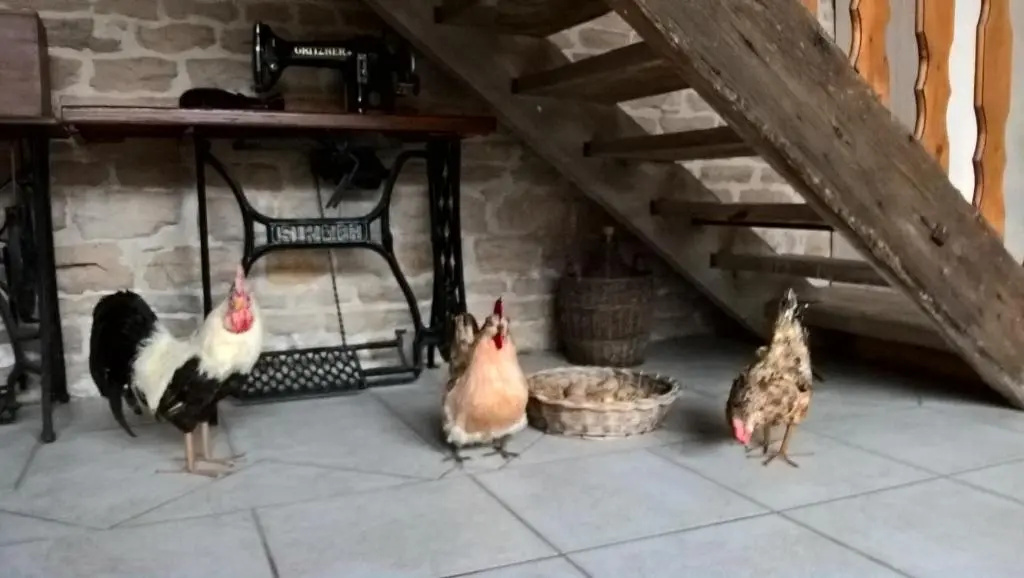 La ferme du Grand Faubourg