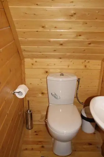 Alpine ski chalet Borovets with sauna
