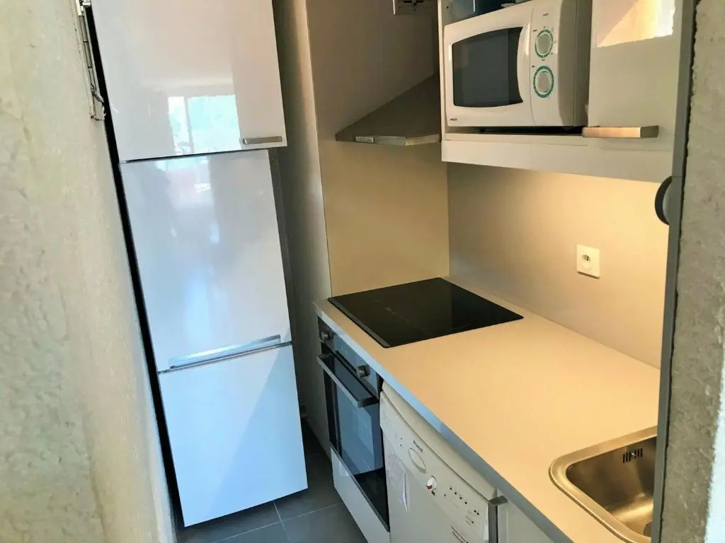 Appartement Les Deux Alpes, 2 pièces, 6 personnes - FR-1-516-99