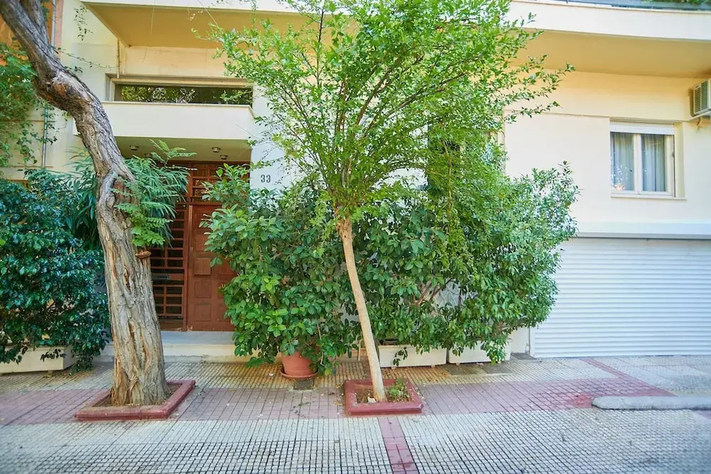 Dream-stay Apartment With a Spacious Balcony
