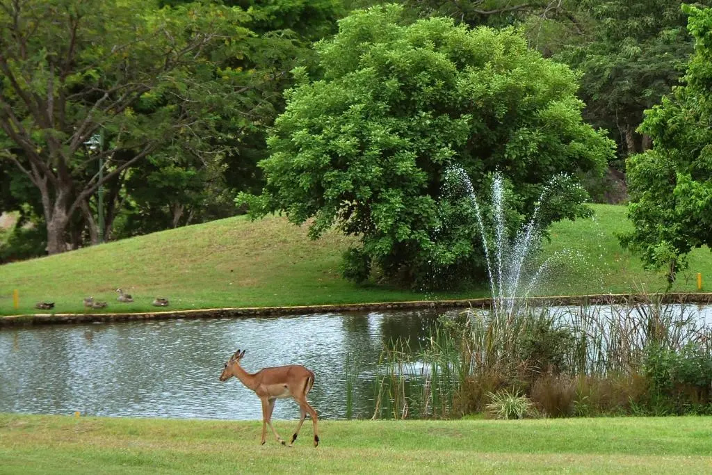 Kruger Park Lodge Unit 612
